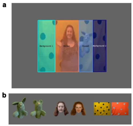 FIGURE 1Screenshot of the (a) experimental video withthe AOIs: background, puppet, and person; and (b) recogni-tion tests for the person, puppet, and background.