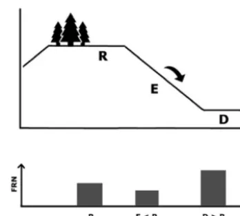 Figure 1. Concept of the fallout radionuclide (FRN) traditionalmethod, in which the FRN content of a reference site located ina ﬂat and undisturbed area (R) is compared to the FRN content ofdisturbed sites (E and D)