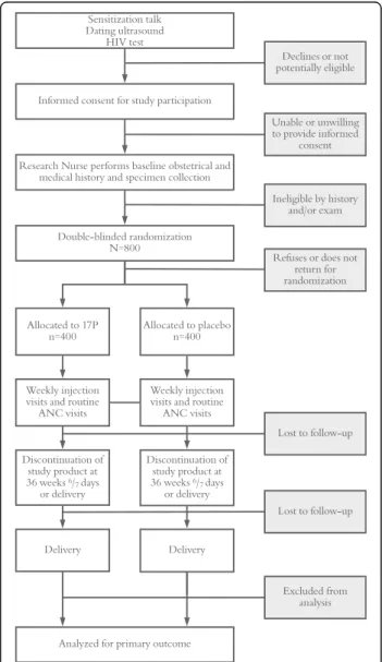 Fig. 1 IPOP study participant flow diagram