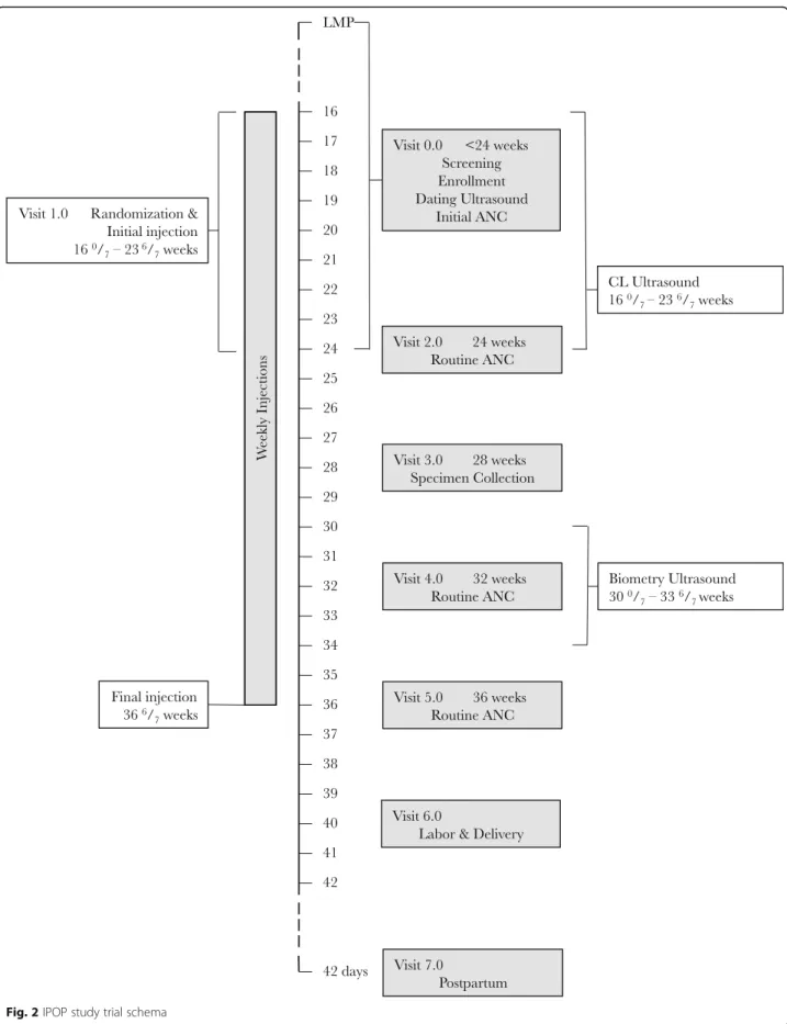 Fig. 2 IPOP study trial schema