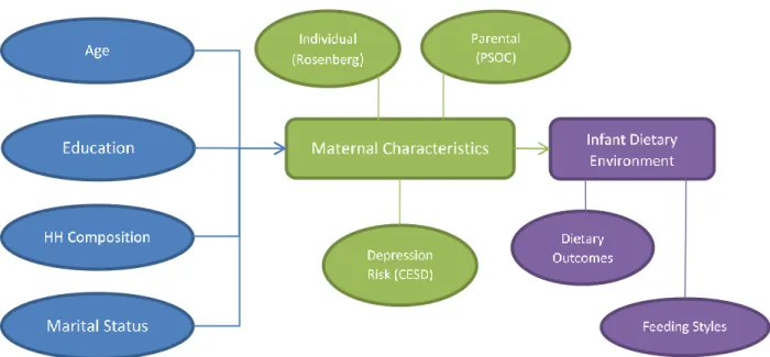 Fig. 1. Conceptual model. 