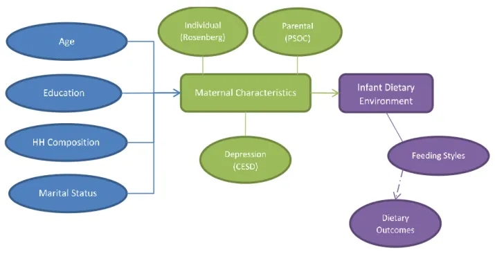 Fig. 2. Revised conceptual model.