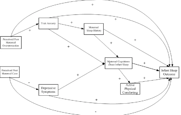 Figure 1. Model of maternal factors influencing infant sleep outcome.  