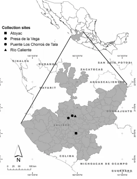 Figure 1. Collection sites of algae in the state of Jalisco, Me- xico. 