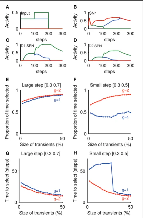 FIGURE 6 | Transient selection in striatum is ampliﬁed by basalganglia-thalamo-cortical loop