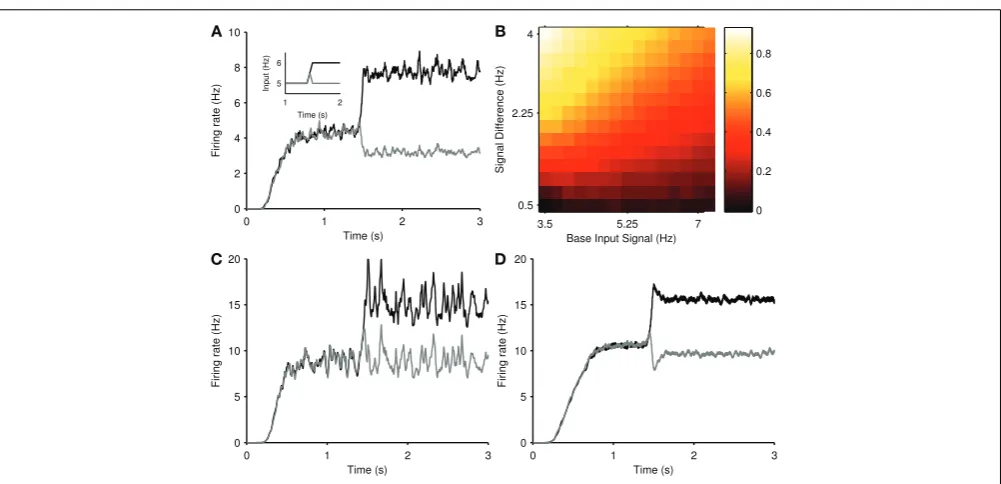FIGURE 7 | Steady-state selection in the randomly-connected striatummodel. (A) Smoothed mean ﬁring rates of two projection neuronpopulations, in response to the ramped input protocol (inset)