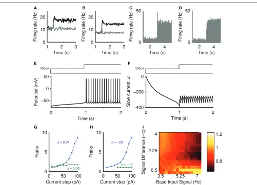 FIGURE 5 | Sources of the positive and negative transients. (A) Striatalbehavior.cortical neuron model, averaged over 50 steps of spiking input fromrgiven inoutput with lesioned projection neuron connections