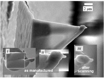 Figure 2. SEM images of the assembled of CNT-SThM probe (a). to the probe.and after contact SThM scanning Insets show the same probe before - i, and (higher magnification) - ii – iii, indicating no observable damage  
