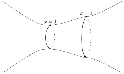 Figure 4.1: A piece of the manifold with trapped geodesics at x = 0 and x = 1. rotated can be written explicitly as