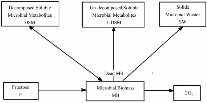 Figure 1. Biological processes inside one spatial unit (geometrical primitive). 