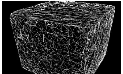 Figure 6. A tetrahedral mesh building from the centers of 1000 balls.  