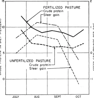 FIGURE 4. Crude protein in the steers’ diet and average daily gain of the steers in the fertilized and unfertilized pastures, July-October 1951