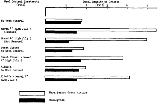 FIGURE 5.Effects of mowing and spraying compared to no weed control on basal density of three warm-season grasses
