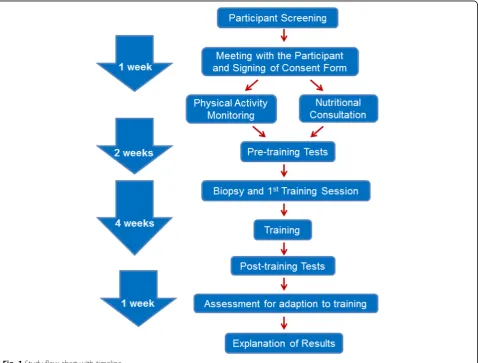 Fig. 1 Study flow chart with timeline