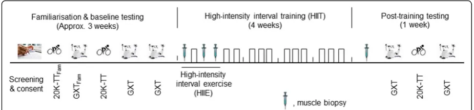 Fig. 2 Overview of exercise testing and training. Fam, familiarization; 20 km-TT, 20 km cycle time trial; GXT, graded exercise test to exhaustion;HIIE, high-intensity interval exercise