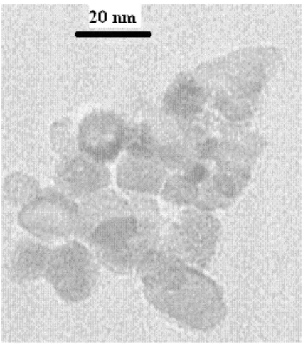 Figure 2. Transmission electron microscopy (TEM) picture of alumina nanoparticles. 