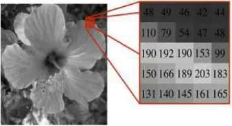 Figure 5. Under image (spot) size 5x5  