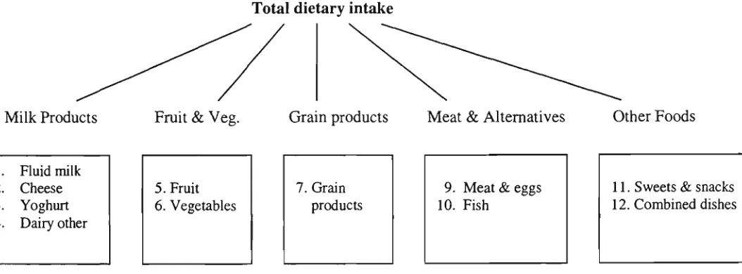 Figure 4.1 Categorisation of foods from the Canadian Food Composition Table into 12 groups 