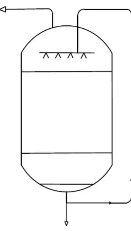 Figure 8.Packed bed reactor (Siegel and Robinson 1992) 