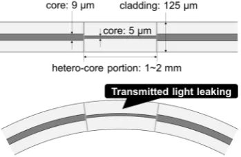 Figure 1. Schematics of a hetero-core fiber optic sensor. 
