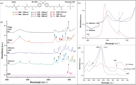 Figure 4. Diffractograms with peaks of greater intensity of HAP, of the hydrophobic monomer of the conventional adhesive system (G1) and of the hydrophobic monomer modified with HAP nanoparticles (G2) (a); diffractograms with peaks of 