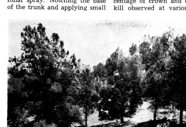 table sired oaks, and the many pala- not feasible shrubs and broad-leaved herbs in the forage