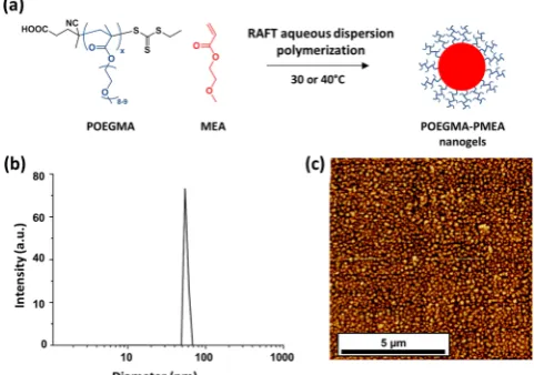 Figure 1. (a) Synthesis of spherical diblock copolymer nanogels viaRAFT aqueous dispersion polymerization at 30 or 40 °C