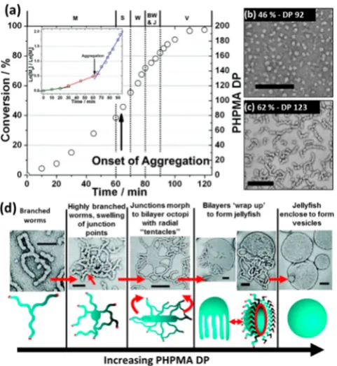 Figure 4. (a) HPMA polymerization kinetics obtained for the targeted