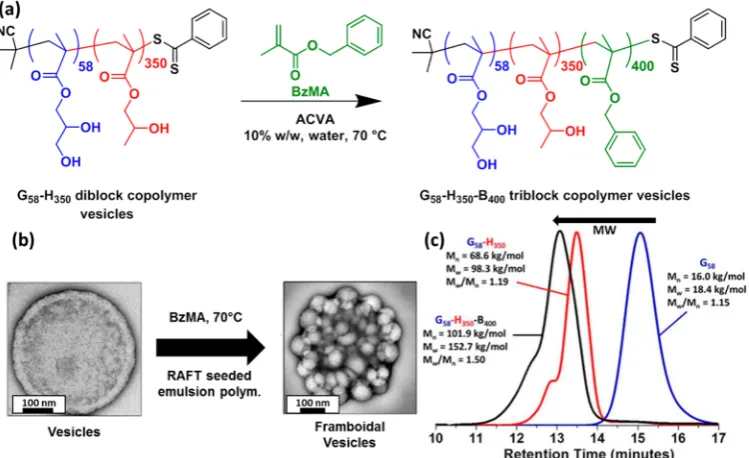 Figure 7. (a) Synthesis of a Gfor the GEvolution of morphology from conventional Gemulsion polymerization of benzyl methacrylate from a G58-H350-B400 triblock copolymer (where G, H, and B denote GMA, HPMA, and BzMA, respectively) via RAFT seeded58-H350 dib