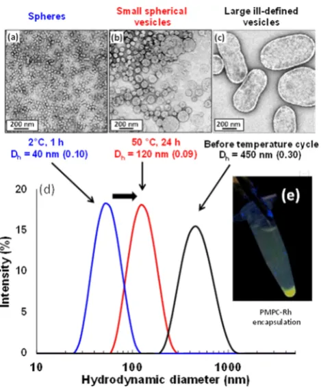 Figure 9. Edispersion of PEGﬀect of carrying out a temperature cycle on a 10% w/w113-PHPMA300 vesicles
