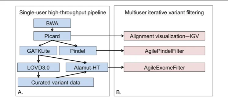 Figure 1.Informatics pipeline for the analysis of targeted capture data.dissemination of the processed data to diagnostic end-users ( A: The high-throughput pipeline will typically be run centrally, withB) for further ﬁltering and interpretation.
