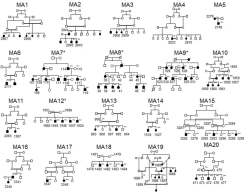 Figure 1. Family pedigrees of patients that were studied. Individuals from whom DNA was available are assigned the DNA notation in smalllettering to the top right hand side of the symbol (and are also numbered)