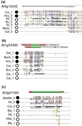 Figure 5. Comparison of DNA methylation patterns in active (open circle) and repressed alleles (filled circles) of three genes withMET1-dependent dense methylation extracted from http://neomorph.salk.edu/1001_epigenomes.html