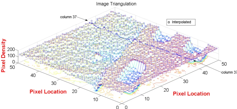 Figure 6. Three dimensional surface of the interpolated points superimposed on the true image surface