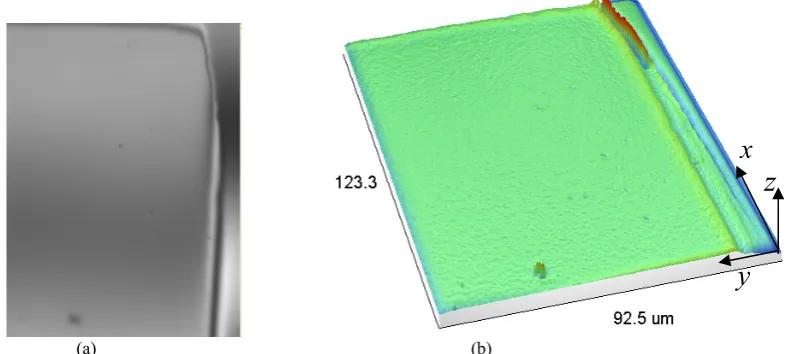 Figure 9. Isometric views of: (a) Measured surface; (b) Reconstructed surface; (c) Interpolated slope surface in x-direction; (d) Interpolated slope surface in y-direction; (e) Interpolated curvature surface in x-direction; (f)  Interpolated y-direction cu