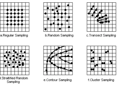 Figure 2. Sampling patterns: DEM’s distributed in x and y plane. 