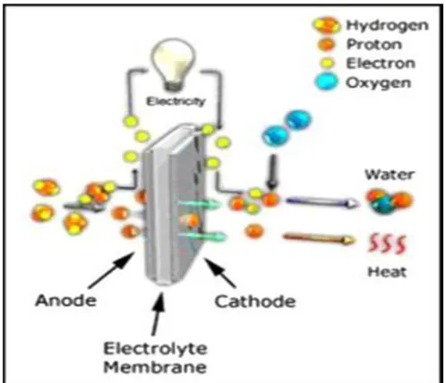 Figure 3: Typical PEM fuel cell operational processes (Source: Helsinki University of Technology [64]) 