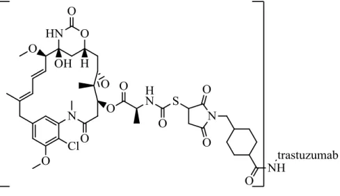 Figure 1-2. Common targeted therapy agents 