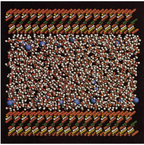 FIG. 1. �Color� Snapshot of the molecular dynamics simulation box used for the current studies of the interlayer ﬂuid structure and dynamics in laponite