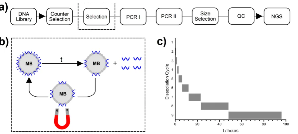 Figure 2. Workflow of single step selection. a) Key: size selection = preparative electrophoresis; QC = quality control; NGS = next generationmagnetically precipitated