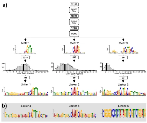 Figure 3. Extraction of aptamer sequences from NGS reads. a) Informatics pipeline as applied to DNA retained on the beads in single-stepselection