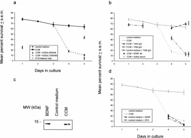 Figure 3.Results on changes in survival in culture.effect. TrkB-IgG caused only a small reduction in viability at 1 and 2 d