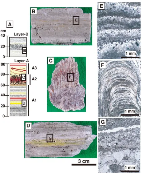 Figure 5. Crystallinity of silica minerals in silica sinter. (A) Schematic column of silica sinter, (B) stratigraphical change of crystallinity index, and (C) typical diffract grams of se-lected samples