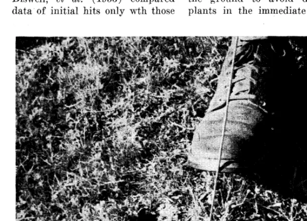 FIGURE 1. The sampler is establishing a sampling point with the use of a pin and a notch on the toe of his boot-the step-point