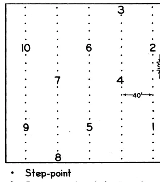 FIGURE 2. Sampling design for grassland survey plots. 