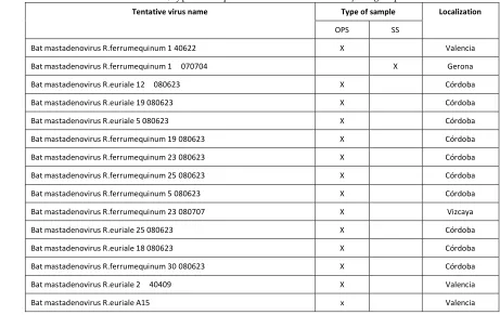 Table S4: Tentative viruses names, type of sample and localization of Rhinolophus group