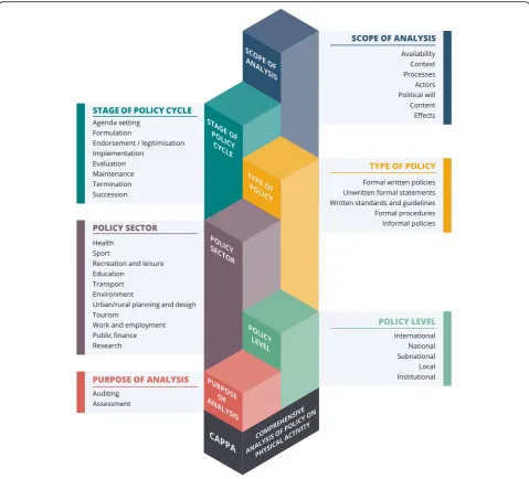 Fig. 2 Structure of the Comprehensive Analysis of Policy on Physical Activity (CAPPA) framework