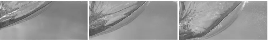Figure 13. Maximum dimension of the wavefront during the water entry of a wedge (V, β = 20◦)entering the water at 4.3, 6, and 6.7 m/s.