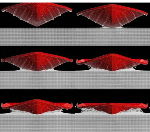 Figure 11. Sequence of the simulation of the entry into the water of the hull. 