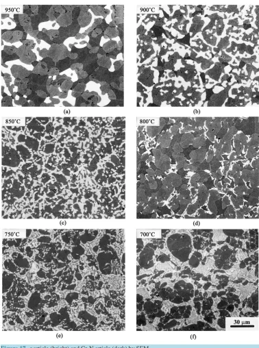 Figure 17. σ article (bright) and Cr2N article (dark) by SEM.                                           